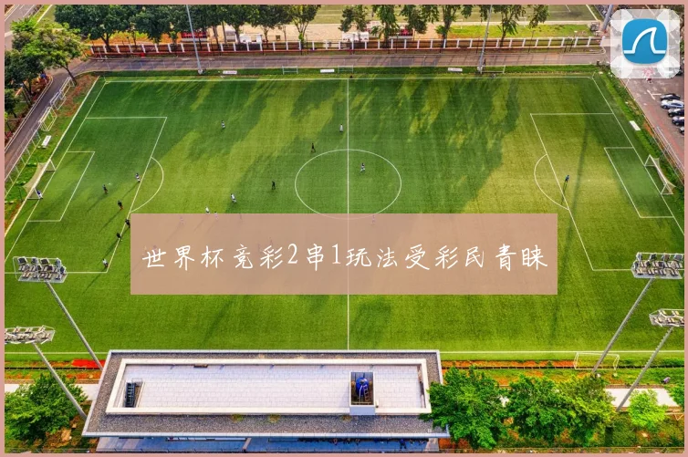世界杯竞彩2串1玩法受彩民青睐