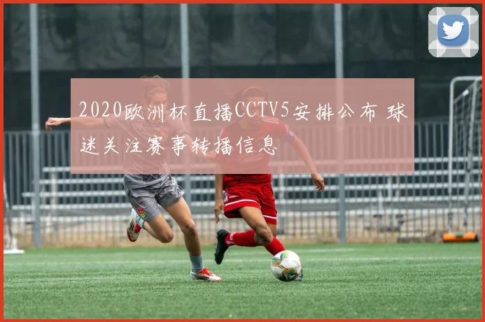 2020欧洲杯直播CCTV5安排公布 球迷关注赛事转播信息